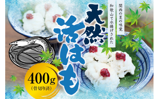 
国産 骨切り済み 天然活はも 400g 鱧 ハモ 湯引き 和歌山県産 天ぷら しゃぶしゃぶ 鍋
