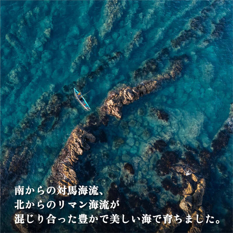 利尻昆布 北海道 利尻島産 天然 根昆布 540g（270g×2袋） 昆布 こんぶ コンブ だし 出汁 だし昆布 海産物 加工食品 乾物 利尻