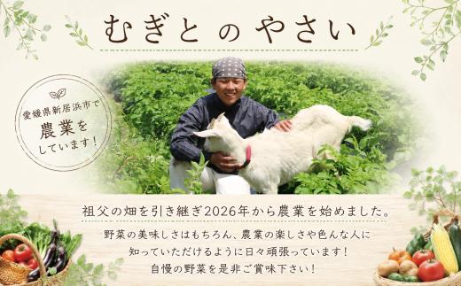 【訳あり】先行予約 土付き 新たまねぎ 8kg 国産 新玉ねぎ 玉ねぎ 旬 野菜 家庭用 サラダ 炒め物 スープ カレー 常温配送 みずみずしい 甘み やわらかい 産直 産地直送 不揃い サイズ混合 保存便利 加熱調理 生食対応 春野菜 ご当地 野菜セット ふるさと納税 愛媛県 新居浜市 むぎとのやさい
