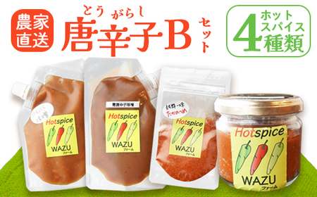 国産 唐辛子 4種セットB（ 赤柚子胡椒 / 一味(鷹の爪) / 青唐辛子味噌 / にんにく味噌 ） 