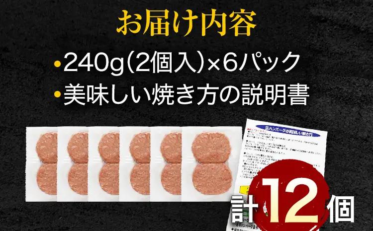 ハンバーグ 佐賀牛入り 120g 12個 生ハンバーグ