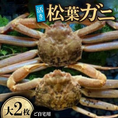 ふるさと納税 智頭町 【先行予約】【活き】ご自宅用　松葉ガニ　大　2枚(1枚800〜940g前後)※11月中旬から順次発送
