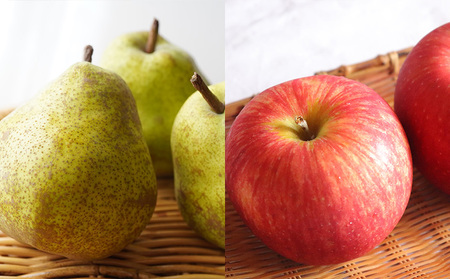 【定期便5回】ノノハナフルーツ 笑顔はなまる定期便 FY25-329