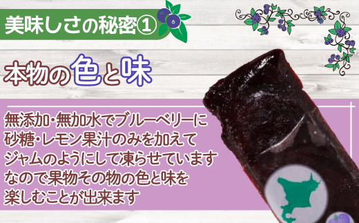 北海道 豊浦町 ブルーベリーシャーベット 20本 【 ふるさと納税 人気 おすすめ ランキング ブルーベリー 国産ブルーベリー ブルーベリーシャーベット 大容量 おいしい 美味しい 甘い 北海道 豊浦
