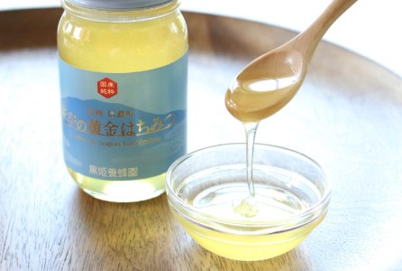限定！天空の黄金はちみつ600g２個セット（百花蜜・アカシヤ）　非加熱　国産純粋はちみつ