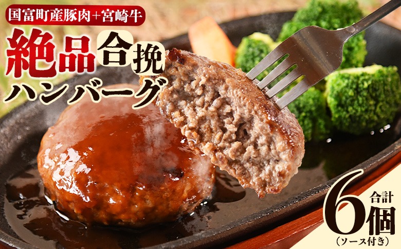 ＜絶品合挽ハンバーグ 6個＞入金確認後、翌月末迄に順次出荷 ソース付き【国富産 豚肉 宮崎牛 ブランド牛 合いびき 合い挽き 160g ぶたにく 牛肉 おかず 一品 焼くだけ 簡単調理 お弁当 お取り寄せ おとりよせ グルメ 贈り物 ご家庭用】 【b1102_mk】