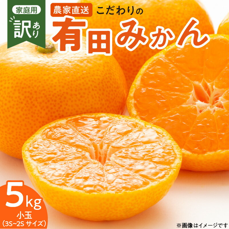 【ふるさと納税】【2025年先行予約】【限定】 こだわりの 有田みかん 小玉 5kg (2S～3Sサイズ)【訳あり 家庭用】和歌山 有田 みかん 温州みかん 送料無料
