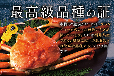 【年内発送】越前がに（オス）「ずわいがに」（400g～600g） 1杯