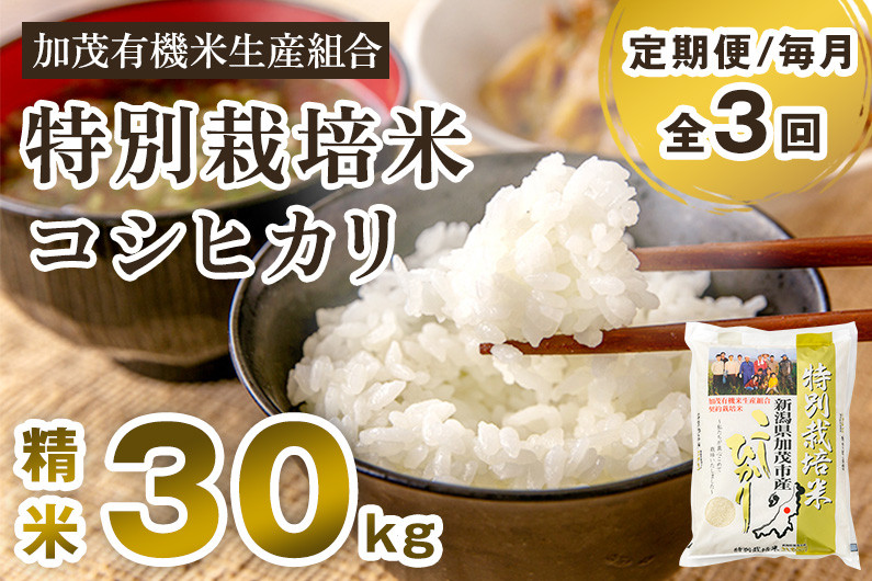 
            【令和7年産新米先行予約】【定期便3回毎月お届け】新潟県加茂市産 特別栽培米コシヒカリ 精米30kg（5kg×6） 《10月中旬から順次出荷》  白米 従来品種コシヒカリ 加茂有機米生産組合
          