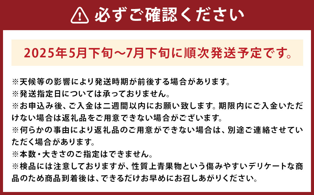 小玉すいか 秀品 2玉 約2～3kg