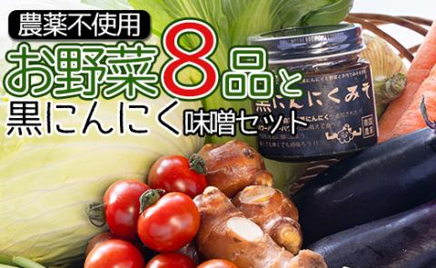 農薬不使用のお野菜8品と黒にんにく味噌のセット - やさい 8種類 ニンニク  みそ ミソ ご飯のお供 おかず 調味料 お任せ おたのしみ 旬 季節品 国産 特産品 高知県 香南市 pr-0012