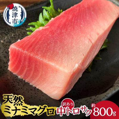 ふるさと納税 焼津市 天然ミナミマグロ 訳あり 中トロ(サク) 約800g入り(a20-327)