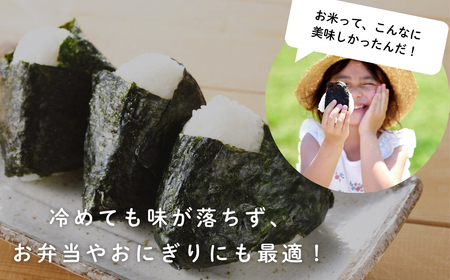 令和7年産コシヒカリ精米10kg｜ コシヒカリ ご飯 白米 千曲市 長野県 信州