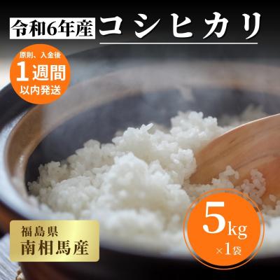 ふるさと納税 南相馬市 【令和6年産】福島県産コシヒカリ 白米 5kg×1袋  精米 南相馬産【153484-001-01】