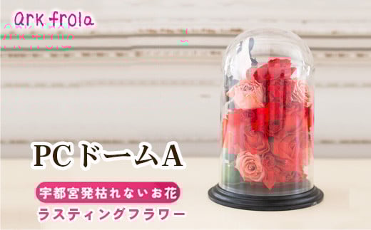 
            PCドーム タイプA
          