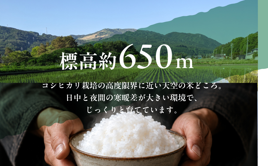 2026年産（令和8年） 位山源流米 コシヒカリ5kg  | 新米 米 ごはん 農家 コシヒカリ おいしい 飛騨高山 ファームやまじん TD001