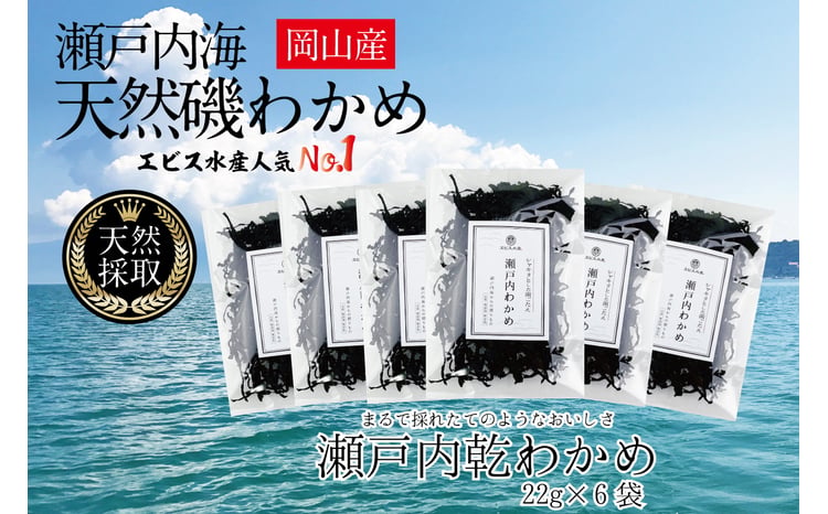 風味豊かな 瀬戸内 わかめ 22g×6袋 エビス水産【岡山 瀬戸内海 天然 カットわかめ】