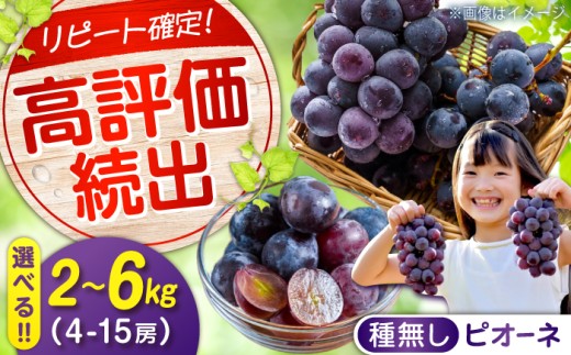 【期間限定/8月下旬〜9月上旬頃発送 】 沼隈ぶどう「 ピオーネ 」 約2kg  4〜5房（ 種なし ） 広島県福山市/福山市農業協同組合 沼隈グリーンセンター ぶどう ブドウ 葡萄 種なし 大粒 ピオーネ フルーツ 果物 くだもの 広島 福山  [BAEV002]