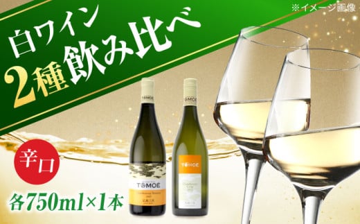 TOMOEワイン2本セット A ワイン 受賞 飲み比べ ワインセット ギフト 三次市/広島三次ワイナリー[APAZ021]