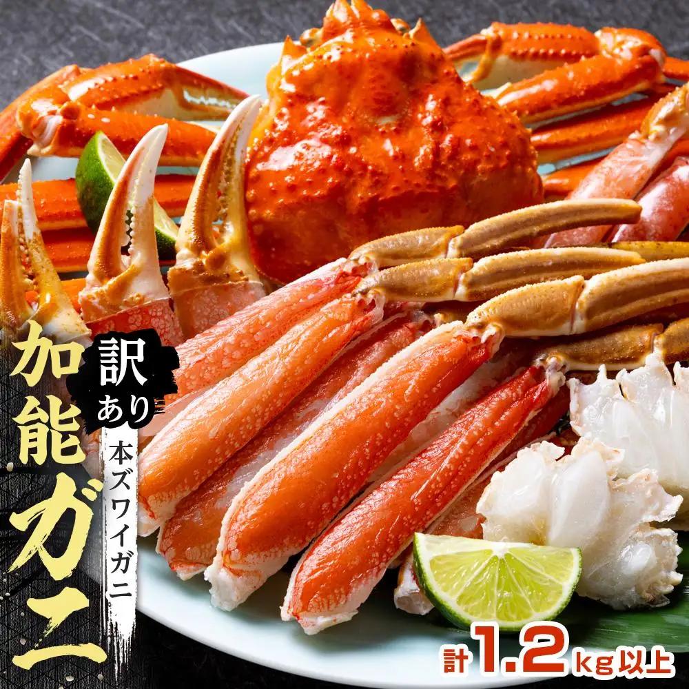 【予約受付】【訳あり】金沢港より直送！ボイル加能ガニ 2杯セット 蟹 かに