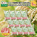 【ふるさと納税】【令和5年産】【12ヶ月連続お届け定期便】おおかわさんちのコシヒカリ 5kg × 12回 /米 こしひかり 精米