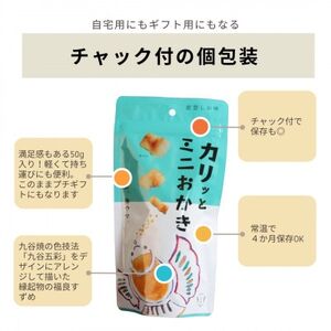 カリッとミニおかき 10個セット ※お米っておいしい!を実感できる【1689313】