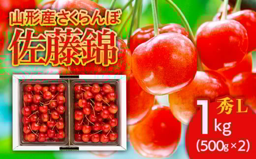 さくらんぼ 佐藤錦1kg(500g×2) L バラ詰め 【令和7年産先行予約】FU21-173 くだもの 果物 フルーツ 山形 山形県 山形市 2025年産