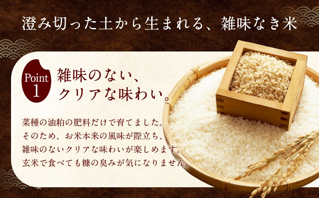 自然栽培 ひのひかり 玄米 10kg