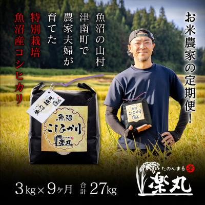 ふるさと納税 津南町 【毎月定期便】豪雪地津南の農家夫婦が育てた!直送特別栽培魚沼コシヒカリ3kg×9回(27kg)全9回