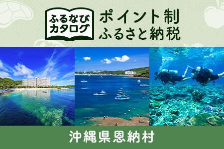 【有効期限なし！後からゆっくり特産品を選べる】沖縄県恩納村カタログポイント