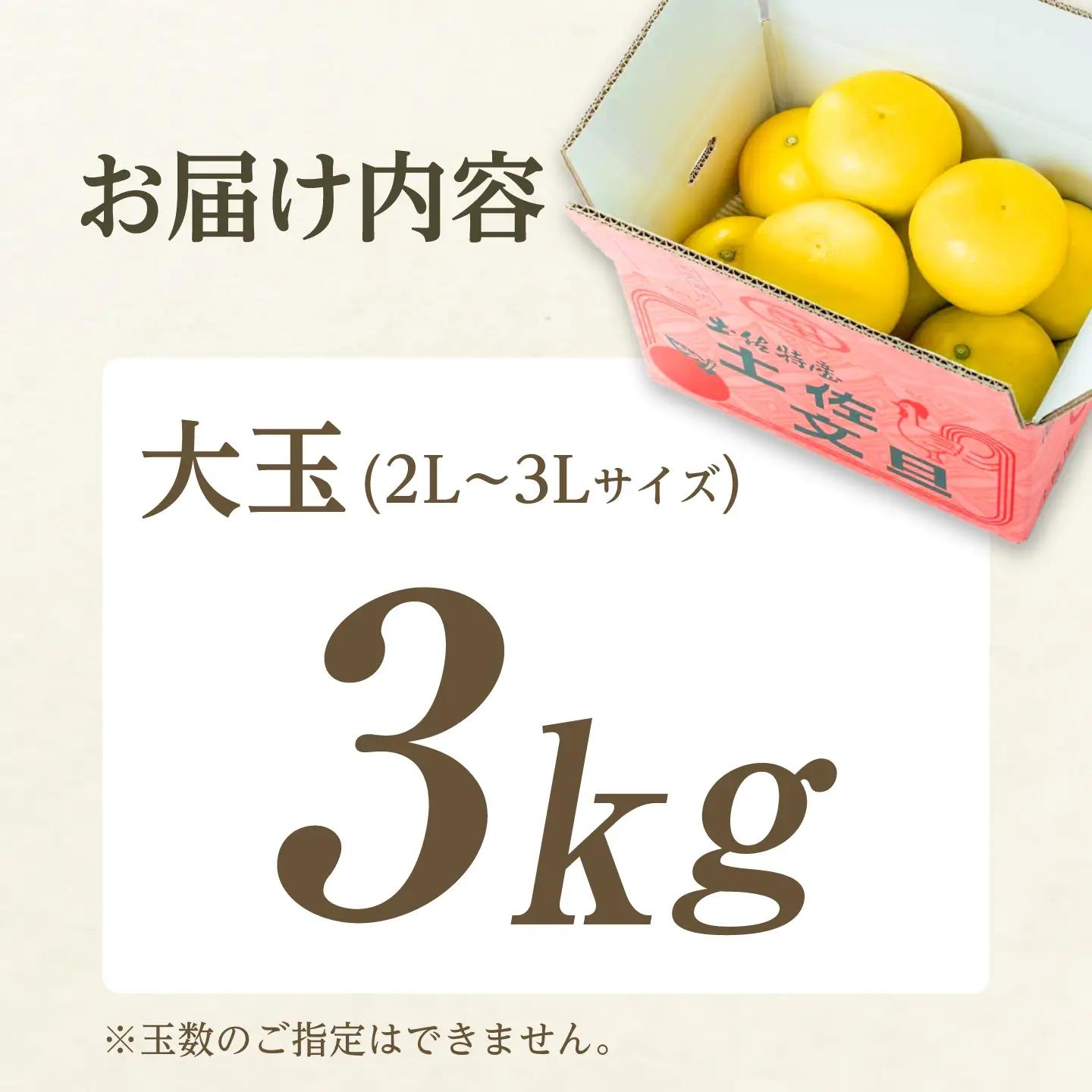 【先行予約】土佐文旦 家庭用 3kg 大玉（3L〜2L） 文旦[BQAC001]