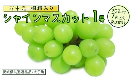 【 お中元 桐箱入り】 シャインマスカット １房 【2025年7月上旬発送開始】(茨城県共通返礼品：大子町) ぶどう 葡萄 マスカット フルーツ 果物 贈答用 ギフト 贈り物