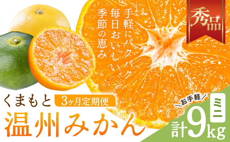 【3ヶ月定期便】みかん 定期便 秀品 温州みかん ミニ 計9kg 日本フルーツ株式会社《10月上旬-12月末頃出荷》熊本県 長洲町 ミカン 蜜柑 柑橘類 極早生 早生 中生 果物 フルーツ---sn_