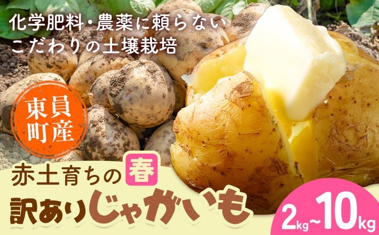 
                  【春じゃがいも】東員町産 赤土 育ち の 訳あり じゃがいも 選べる 約2kg 約5kg 約10kg 《2026年5月下旬-7月下旬頃出荷(土日祝除く)》三重県 東員町 ジャガイモ じゃが芋 芋 送料無料  春じゃが
                