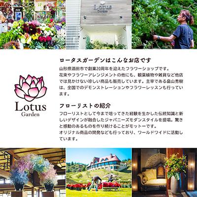 ふるさと納税 酒田市 【発送月固定定期便】3回連続で届く お花の定期便「季節の花束SAKATA3 秋」全3回 |  | 03