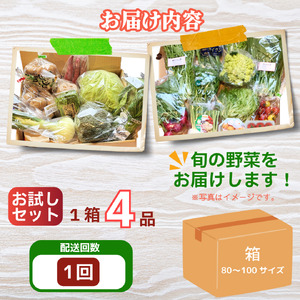 野菜 セット お試し 4品 単品 季節 旬 詰め合せ 国産 おまかせ 産地直送 