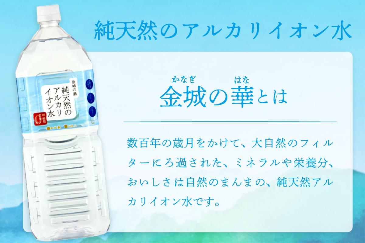 ミネラルウォーター 金城の華 500ml 2L 各一箱  水 ふるさと納税 ミネラルウォーター ペットボトル 天然水 アルカリイオン 水 【67】