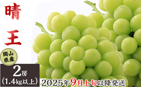 74-17 「晴王」2房（1.4kg以上）【2025年9月上旬～10月上旬発送予定】