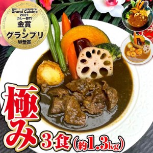 【極み】スープカレー極み3食セット(約1.3Kg)ジャングルスープカレー【配送不可地域：離島】【1270945】