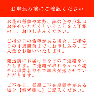 東北最大級のガーデニング専門店 厳選 『季節の寄せ植え』 4種類 ～ 6種類 【花工房らら倶楽部】 花 生花 フラワー 植物 観葉植物 寄せ植え 季節 鉢植え 鉢 ポット ガーデニング 庭 玄関 ベラ