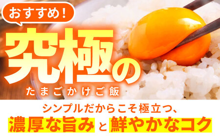 【全12回定期便】お茶と海藻で健康育ち 元気卵 720個（60個×12回） / たまご タマゴ 玉子 鶏卵 / 亀山市 / 藪本養鶏園[AMBH011]