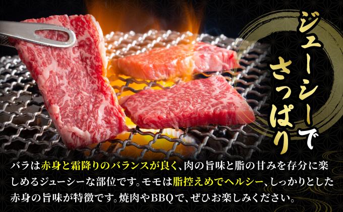  ＜定期便・全6回＞博多和牛 牛肉 焼肉 バラ モモ 500g【肉のくまもと屋】 定期便・全6回