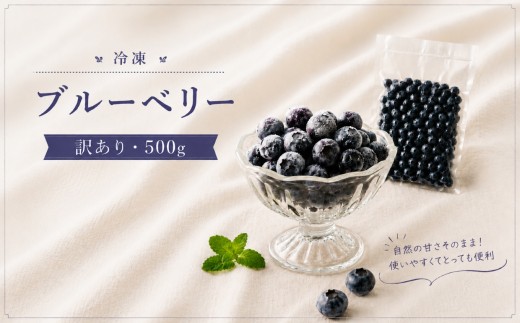 冷凍ブルーベリー 訳あり 500g ｜ ブルーベリー ラビットアイ ラビットアイ系 国産 果物 くだもの フルーツ 冷凍フルーツ スムージー ジャム お菓子作り 製菓 ヨーグルト トッピング 家庭用 お徳用 500g 甘酸っぱい 山口 美祢市 美祢