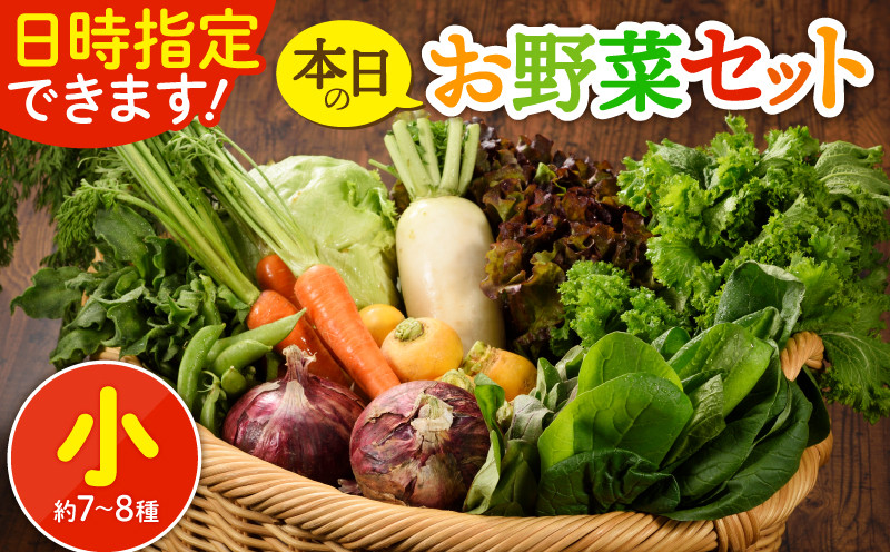 
            日時指定OK！本日のお野菜セット 〈小サイズ/約7-8種〉1～2人用  新鮮 産地直送 野菜詰め合わせ 有機栽培 野菜 果物 野菜セット 野菜定期便 送料無料 【オーガニックのまち 宮崎県綾町】
          