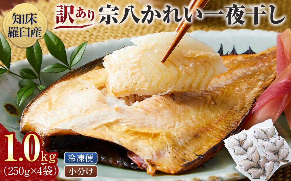 訳あり　宗八かれい一夜干し　250ｇ入×4袋 016942_AJ059