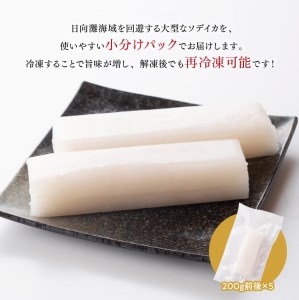 川南地どれ！ ソデイカブロック 1kg 【国産 日向灘 イカ ブロック 小分け 便利 再冷凍可 送料無料】