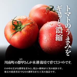 【訳あり】宮崎県産とまと 川南町産トマト１ｋｇ（９～１８個） 【 宮崎県産 九州産 川南町産 トマト とまと 野菜 ヘルシー 訳あり わけあり E6602 】