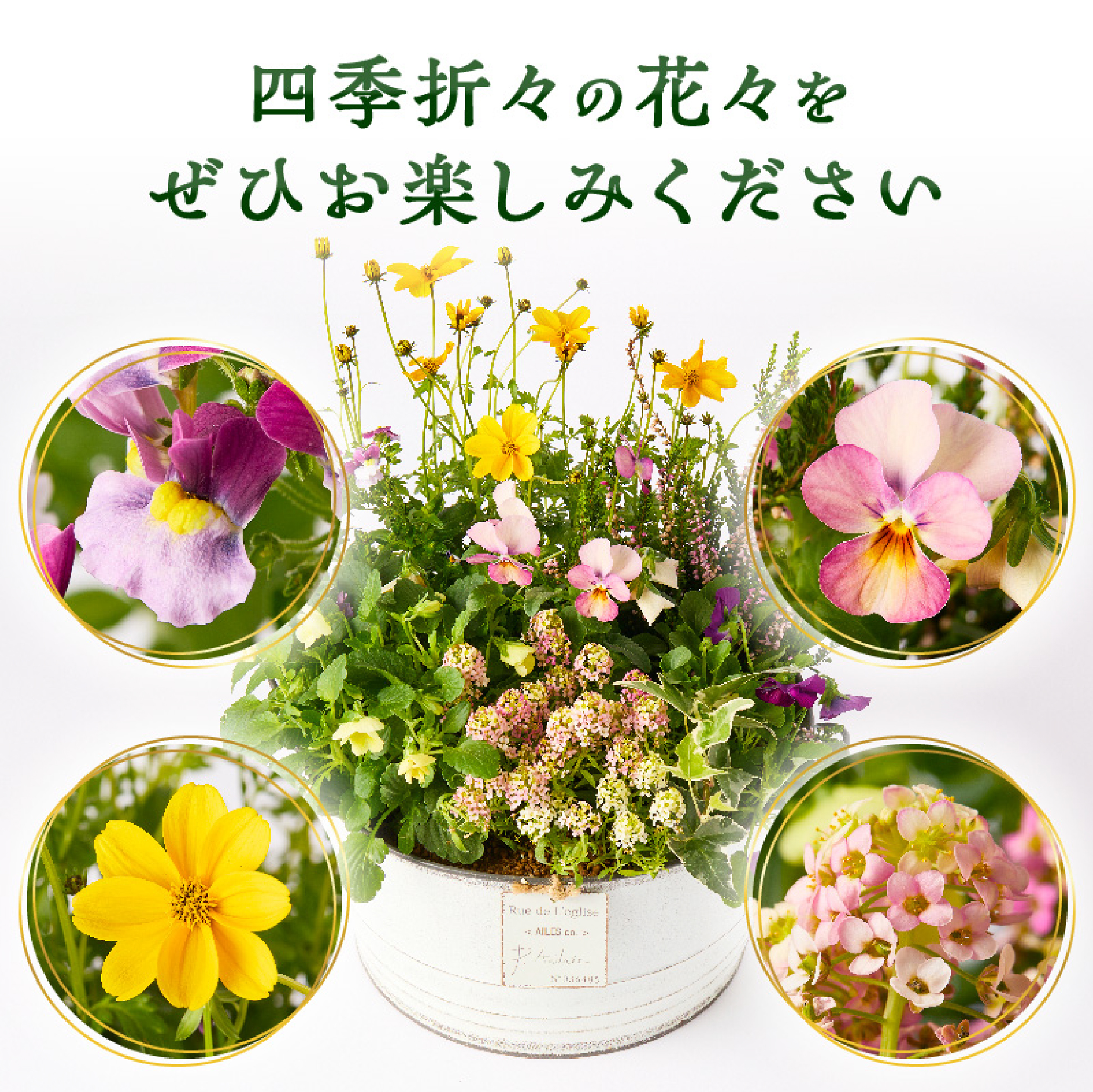 【お手軽ガーデニング】季節の寄せ植え<風の丘ガーデン>_イメージ5