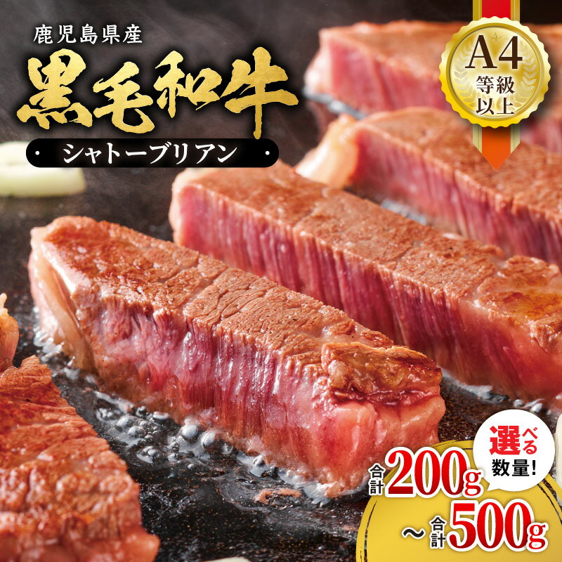 【ふるさと納税】【期間限定 生活応援】＜選べる容量＞ シャトーブリアン A4等級 以上 鹿児島県産 黒毛和牛 シャトーブリアン 200g ～ 500g ヒレの中でもさらに希少な部位！やわらかい赤身！豊かな香りとジューシーな甘みをご堪能ください【財宝】