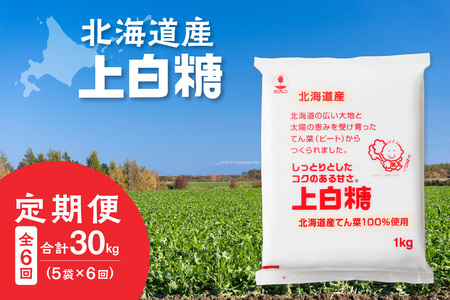 【 6回 定期便 】 ホクレン 上白糖 1kg × 5袋 【  定期便 てん菜 北海道産 砂糖 お菓子 料理 調味料 ビート お取り寄せ 北海道 清水町  】_S012-0020